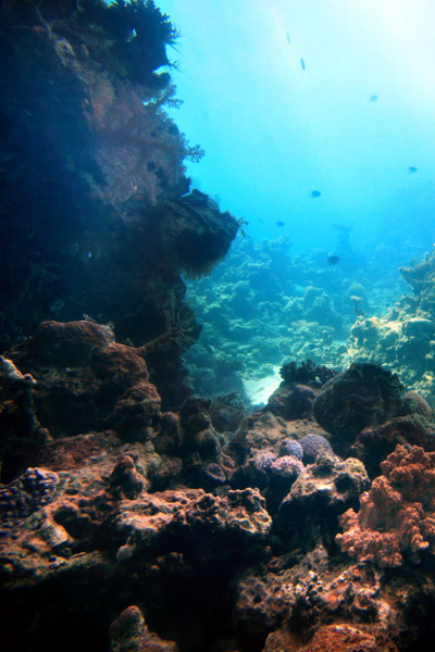 <p>
	Aussi appel&eacute; surgeon's knot, ce n&oelig;ud est tr&egrave;s simple &agrave; r&eacute;aliser et permet de relier deux fils de diam&egrave;tres sensiblement similaires. On le r&eacute;servera pour les fils relativement fins (max 30/100). Nous vous le d&eacute;conseillons pour un raccord tresse-nylon: le n&oelig;ud sera &eacute;pais et la tresse ayant tendance &agrave; "couper" le nylon, celui-ci n'offrira pas autant de r&eacute;sistance qu'un Peixet ou un derozier.</p>
