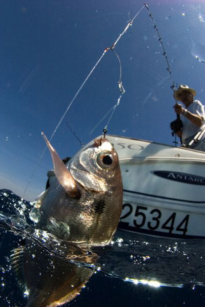 La plupart de ces nœuds sont des dérivés de ceux que nous vous avons montré précédemment et sont dédiés à des usages différents.